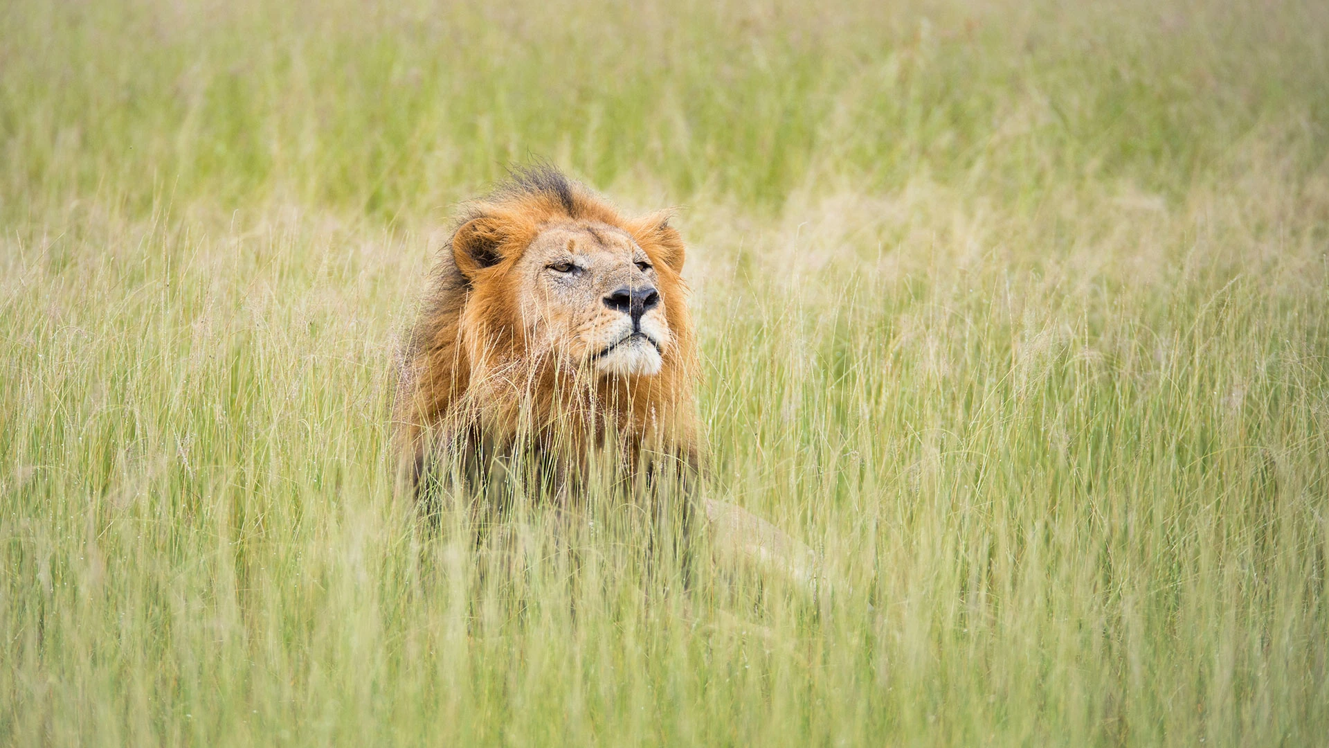 ONCE UPON A LIFE TIME IN TANZANIA…